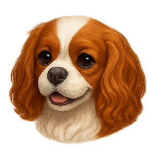 Cavalier King Charles