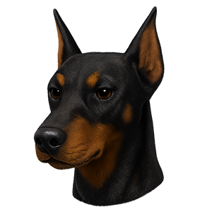 Dobermann