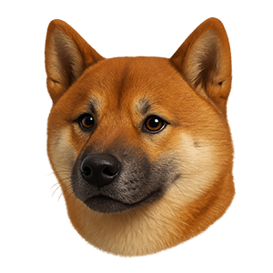 Shiba Inu